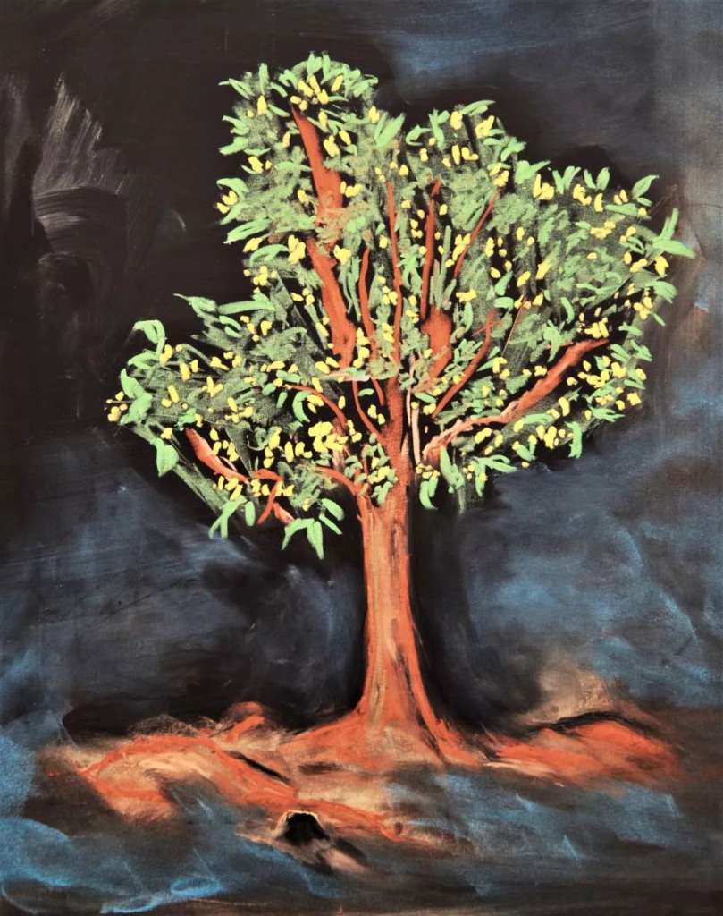 成都华德福学校一线教师教学札记2019秋季学期第1期 - 成都市锦江区